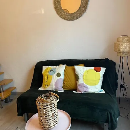 公寓 5 Personnes Piscine Pinede Et