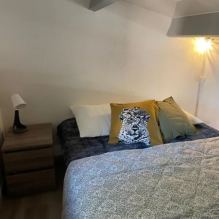 5 Personnes Piscine Pinede Et 公寓 阿格德