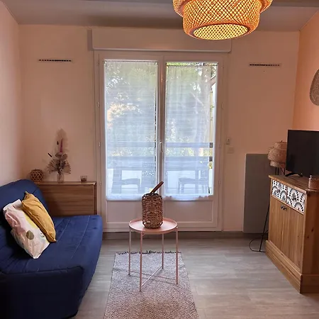 公寓 5 Personnes Piscine Pinede Et 阿格德