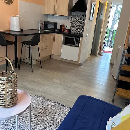 5 Personnes Piscine Pinede Et Apartamento *