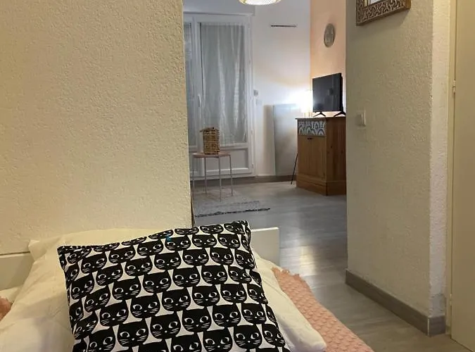 5 Personnes Piscine Pinede Et Agde