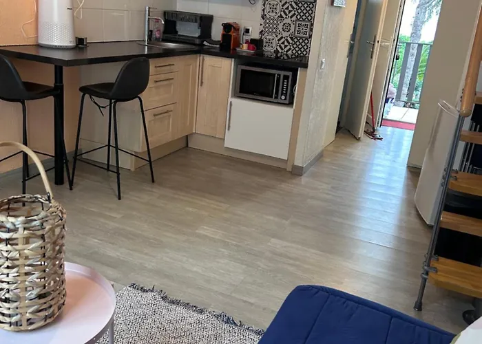 5 Personnes Piscine Pinede Et Apartament *